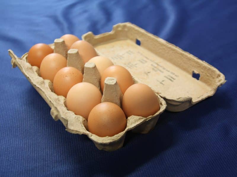 Egg Prices Manipulated from 2022-2025; Companies Fined Small Amount